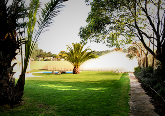 //Cliente: Particular<br/>
                                                                                    //Ano: 2008<br/>
                                                                                    //Local: Birre, Cascais<br/>
                                                                                    //Arquitectura: CBArq<br/>
                                                                                    //Arqui.Paisagista: Joana Caires