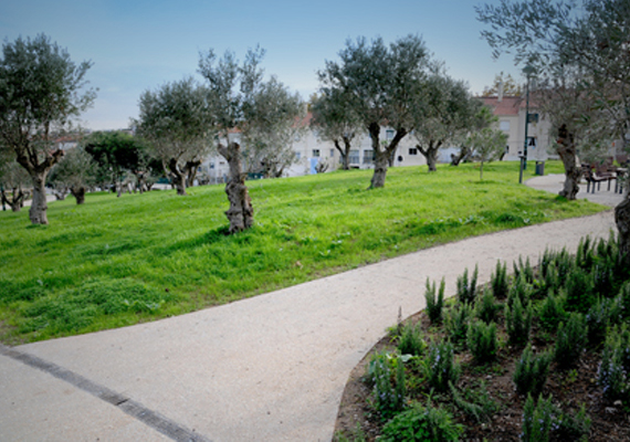 //Cliente: Institucional <br/>
                                                                                        //Ano: 2009 <br/>
                                                                                        //Local: Queijas, Oeiras <br/>
                                                                                        //Arquitectura: Francisco Quintanilha<br/>
                                                                                        //Arqui.Paisagista: CMOeiras<br/>
                                                                                        //Área de intervenção: 5330m2