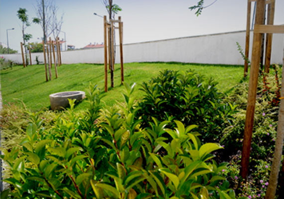 //Cliente: Institucional<br/>
                                                                                        //Ano: 2008<br/>
                                                                                        //Local: Chelas, Lisboa <br/>
                                                                                        //Arqui.Paisagista: Topiaris