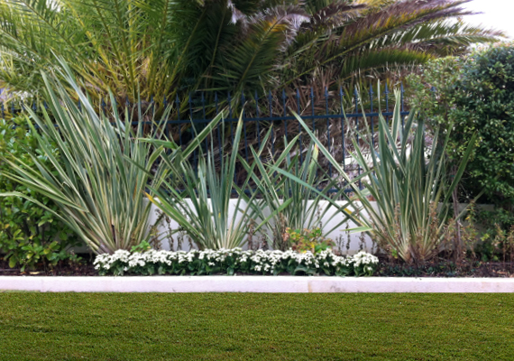 //Cliente: Particular<br/>
                                                                                      //Ano: 2009<br/>
                                                                                      //Local: Cascais<br/>
                                                                                      //Arquitectura: Cbarq . Arquitectos